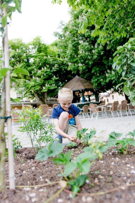 Fruehstueckspension Scharinger Hof Gilgenberg am Weilhart Esterno foto